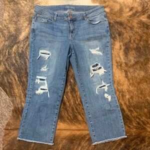 Maurices distressed capris